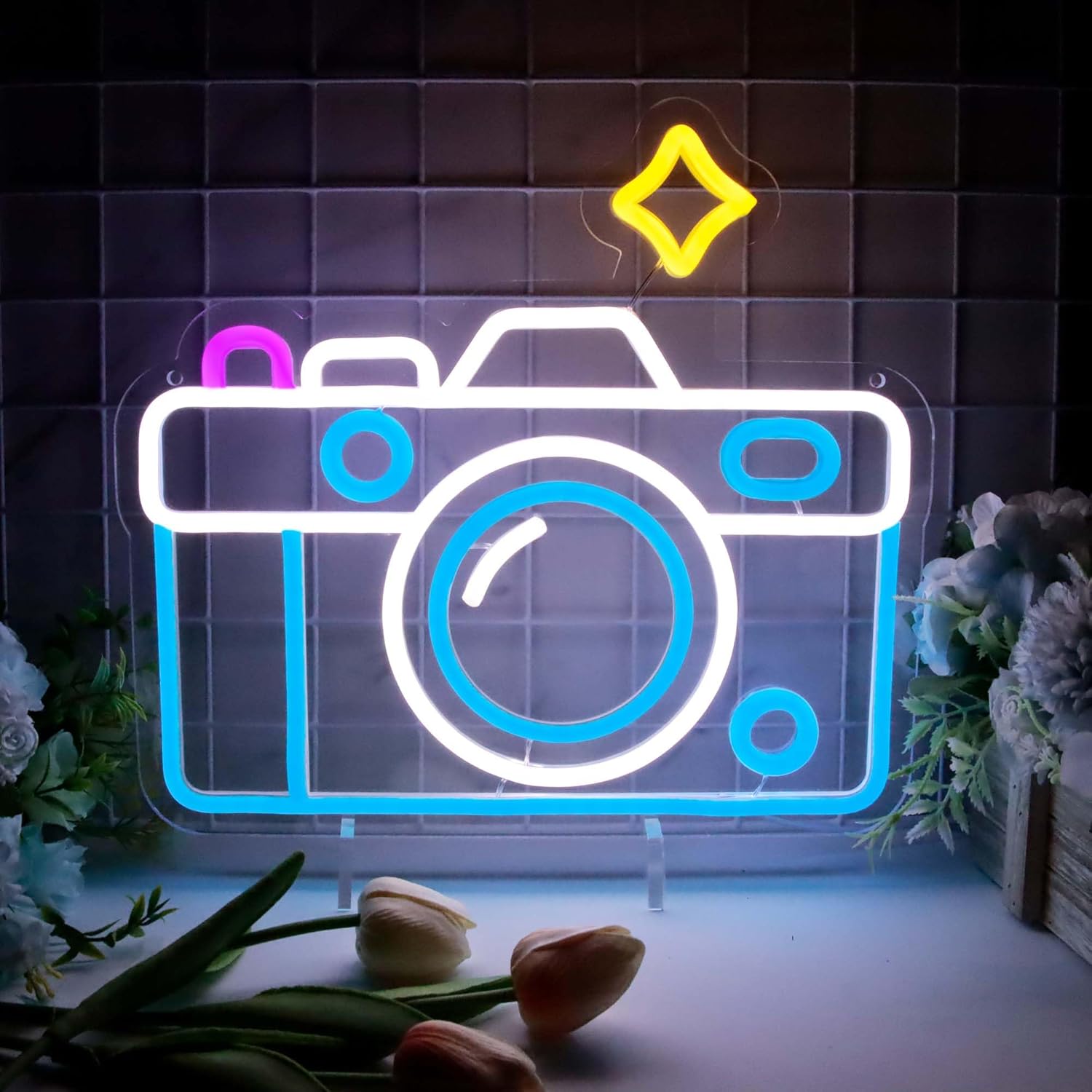 Photography Lighting Wall - Neon Signs for Wall Decor, Photography