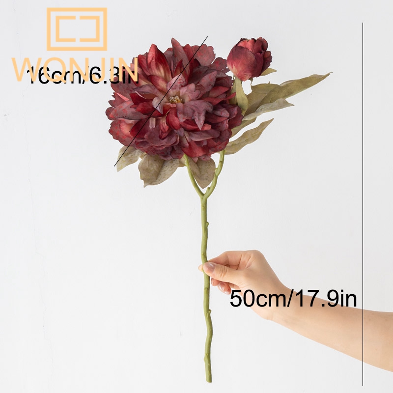 1PC Light Luxury 2 Head Big Pe - Photography Lighting Simulation ulasan dan harga