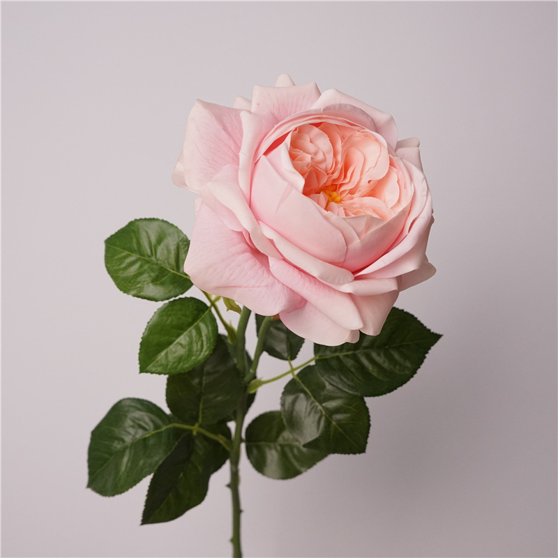 3pcs Moisturizing Rose Simulat - Photography Lighting Simulation ulasan dan harga