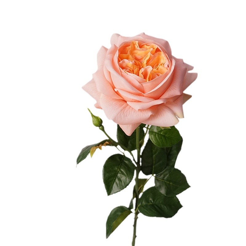 3pcs Moisturizing Rose Simulat - Photography Lighting Simulation ulasan dan harga