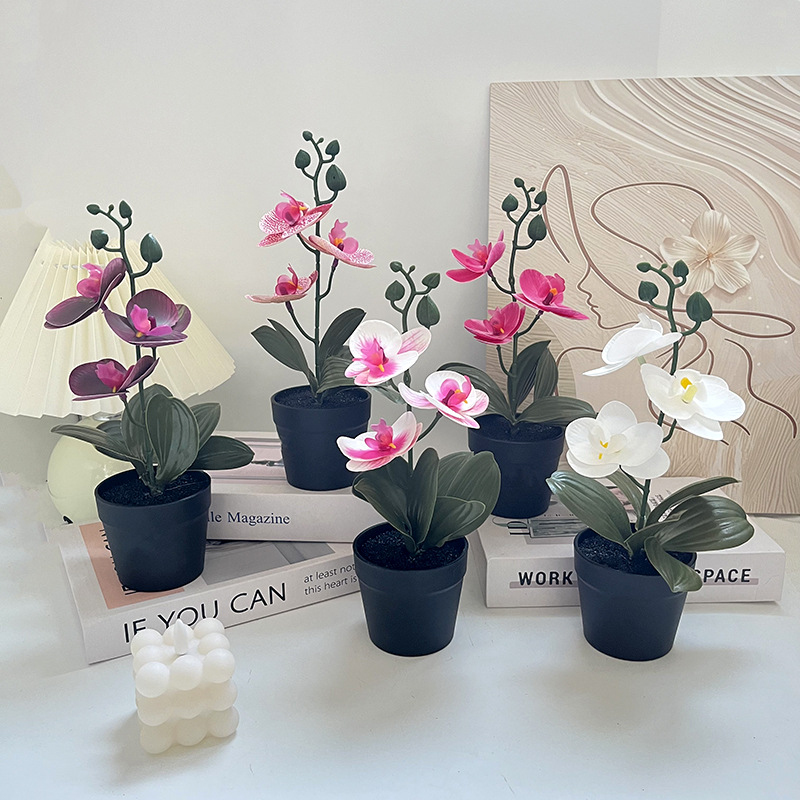 Light luxury black clay pot, b - Photography Lighting Simulation ulasan dan harga
