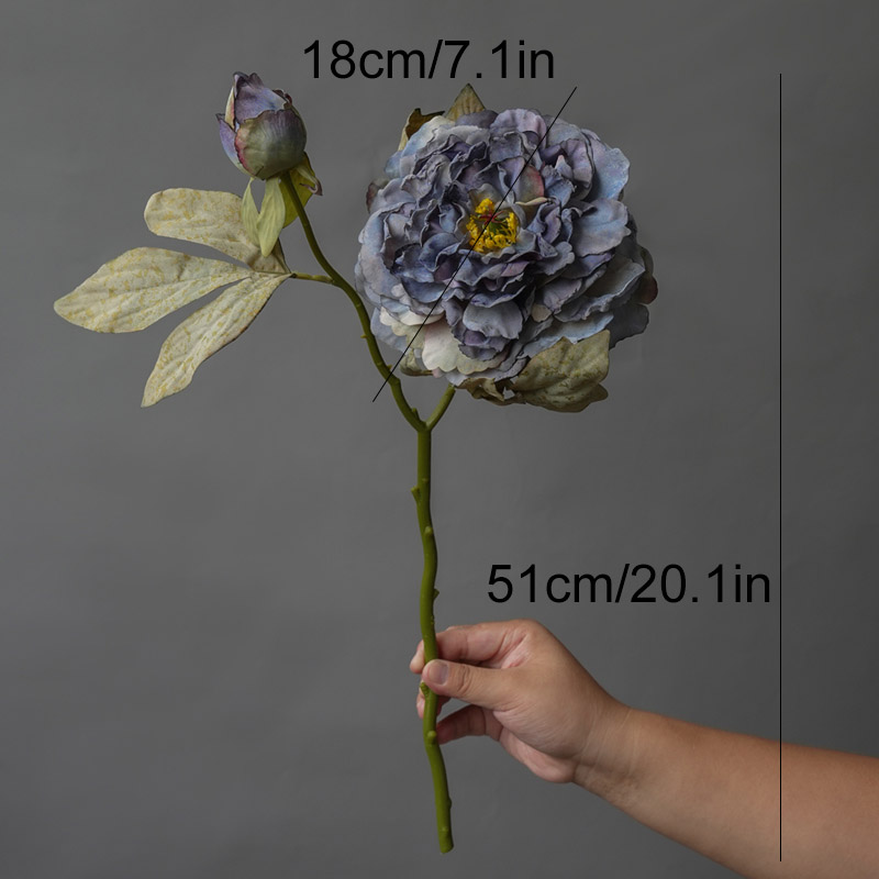 1PC Light Luxury 2 Head Big Pe - Photography Lighting Simulation ulasan dan harga