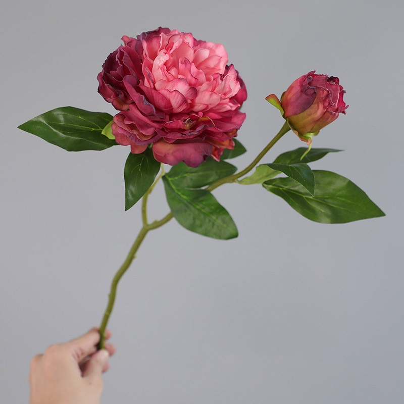 1PC Retro 2 Head Peony Simulat - Photography Lighting Simulation ulasan dan harga